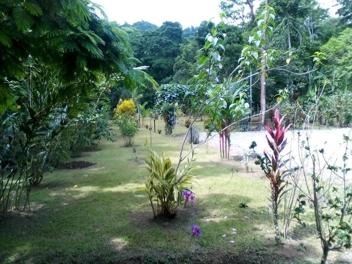 Puerto Vargas Lodge Cahuita Luaran gambar