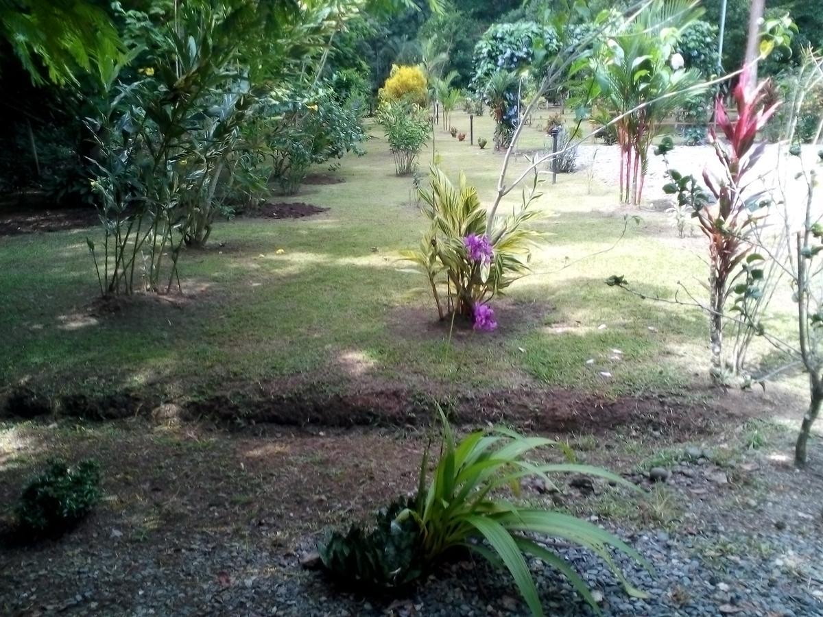 Puerto Vargas Lodge Cahuita Luaran gambar
